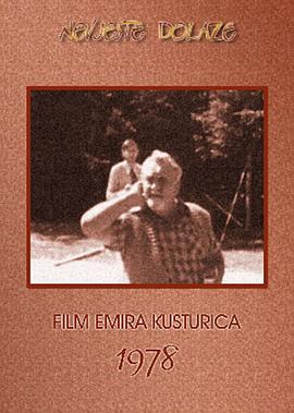 立花瑠莉在线观看影视海报