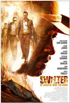 入云龙影视海报