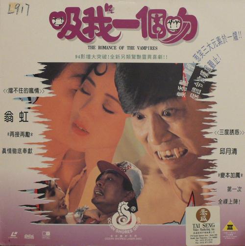 洪湖赤卫队电视剧影视海报