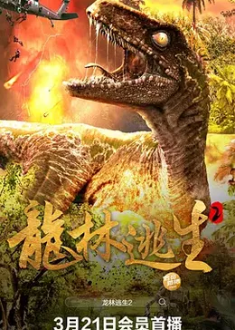 私库旧版本影视海报