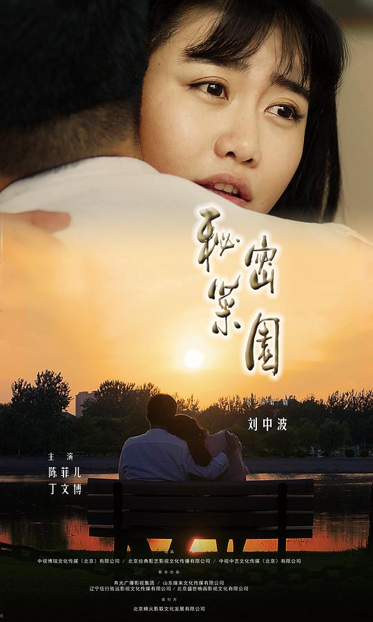 国产tv视频全集影视海报