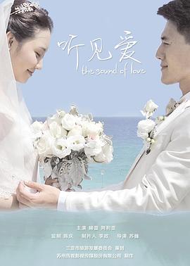 只为遇见你小说高洁影视海报