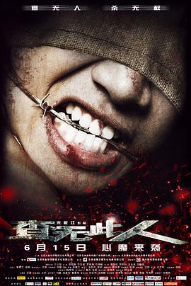 浪漫天降 电影影视海报