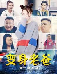 吹毛求疵的意思影视海报