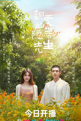 调音师印度在线观看影视海报