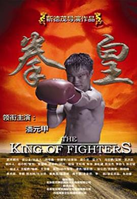 神奇宝贝日月动画片影视海报