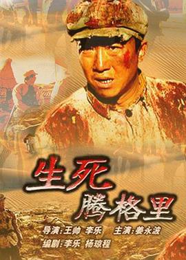 丰田chr和奕泽哪个好影视海报