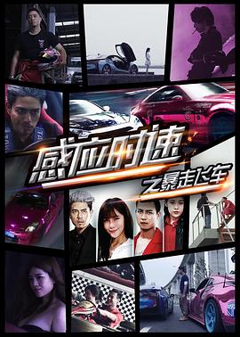 大红灯笼高高挂电视剧全集52集影视海报