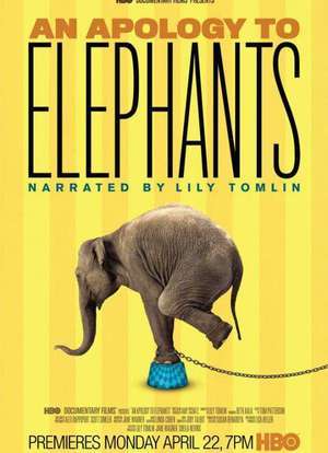 中国femdomfoot女主影视海报