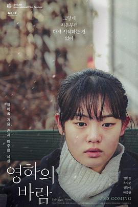 一母三女共侍一夫胡慧珍影视海报