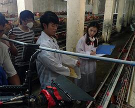 这里发现爱影视海报