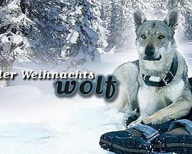 豪门美母后宫全文阅读影视海报