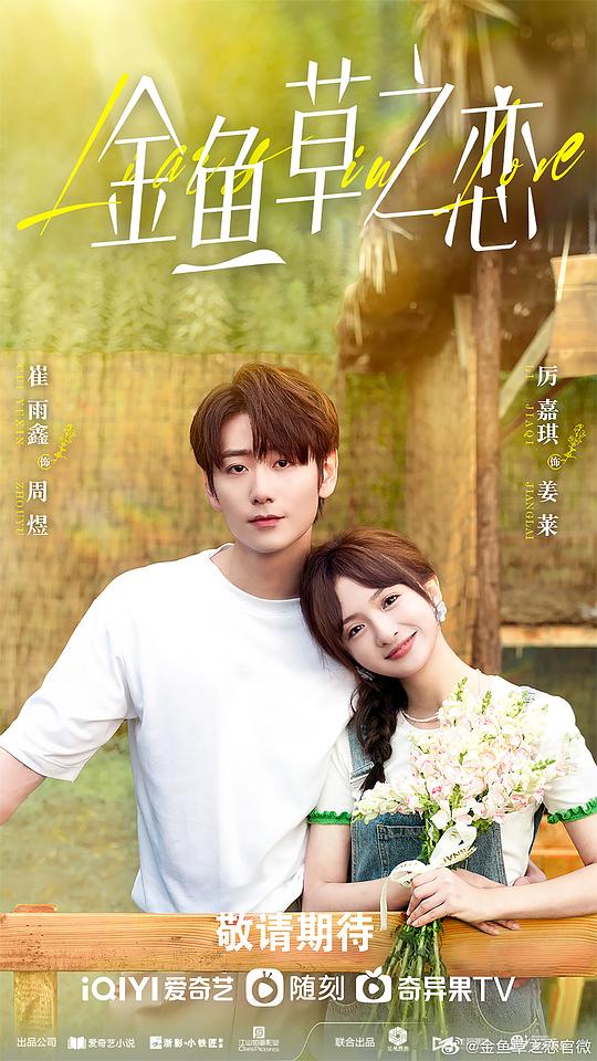 好女春华全集电视剧影视海报