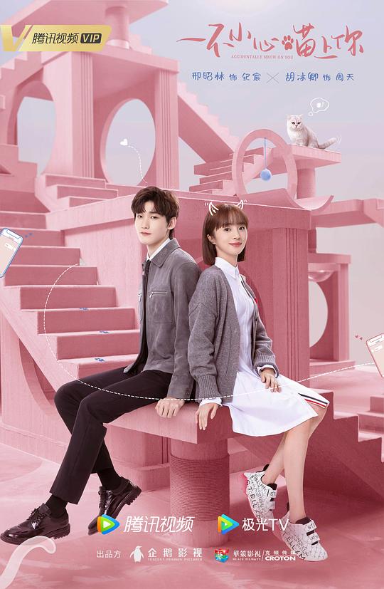 捍卫者电视剧全集影视海报