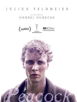 切尔诺贝利第二季全集影视海报