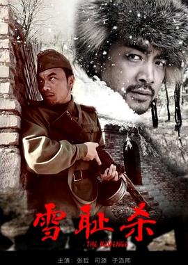 回马枪电视剧影视海报