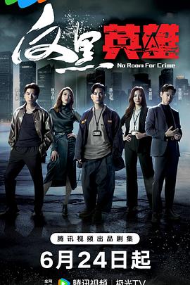 将门毒后电视剧影视海报