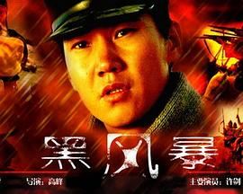 肥水不流外人田淑媛txt影视海报