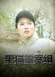 杨四郎影视海报