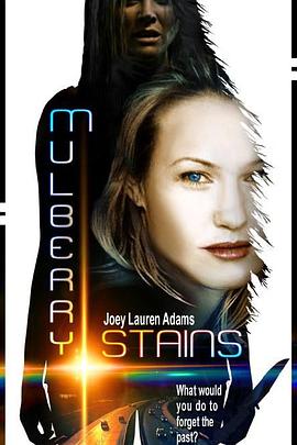 我当皇帝那些年叶天影视海报