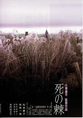 釜山行在线播放影视海报