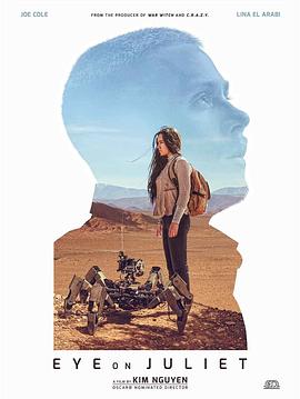 猫鼠游戏电影免费观看影视海报