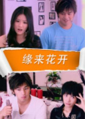 真心英雄综艺影视海报