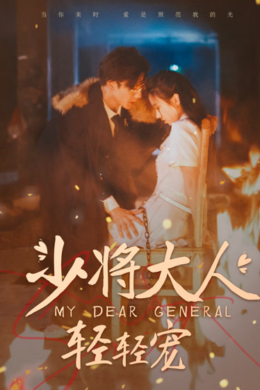 蜂鸟电视剧全集影视海报