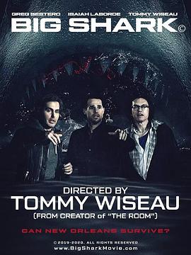 五十度灰百度云资源2018影视海报