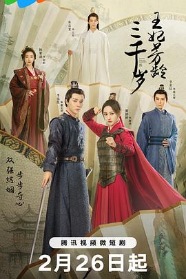 金牌律师之局中局影视海报