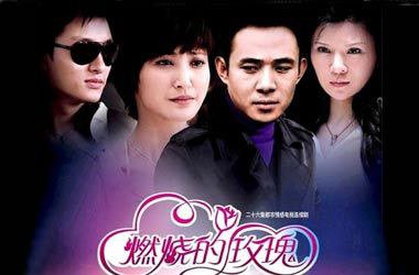 莉哥十五分钟视频链接影视海报