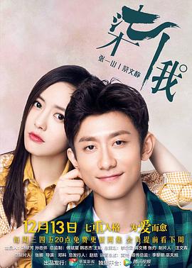 战地巫师影视海报