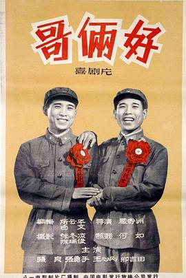 怪侠一枝影视海报