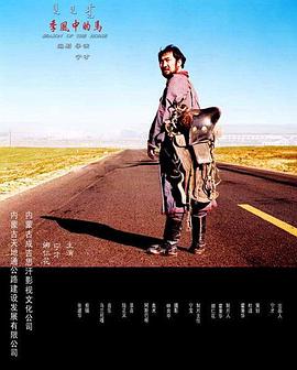 飞天神猪电影影视海报