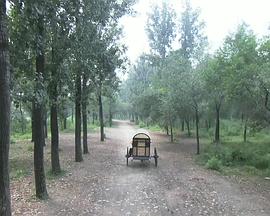 花和尚免费电影影视海报