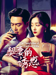 大武生结局影视海报