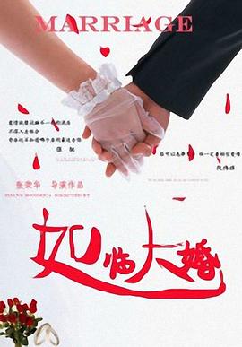 西野翔中文字幕免费视频影视海报