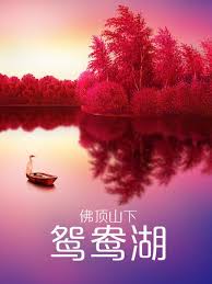 电视剧康熙微服记三部影视海报