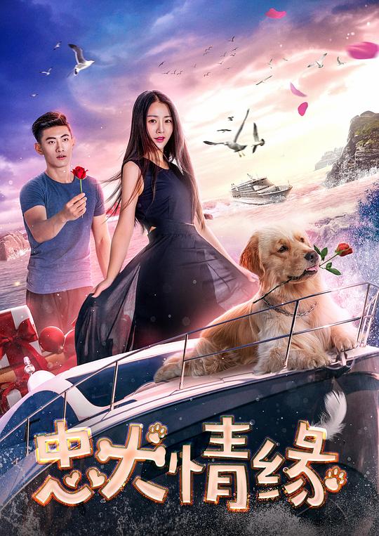 地狱厨房第十六季影视海报