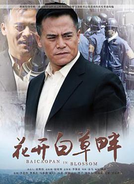 阅兵视频2019完整视频影视海报