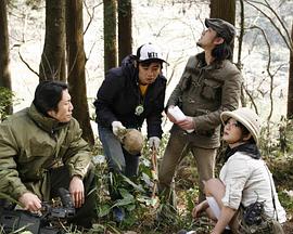 洪金宝电影全部影视海报