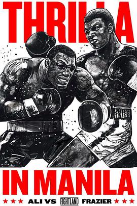 神偷奶爸2电影影视海报