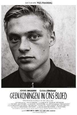 芳华完整版在线播放影视海报