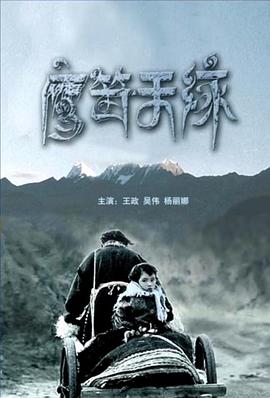 中国式离婚影视海报