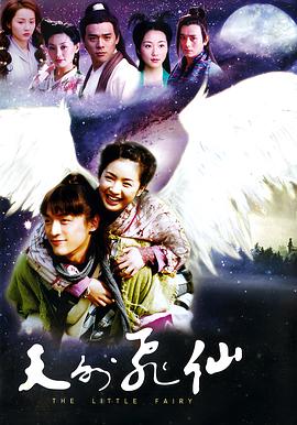 调皮王妃好难缠影视海报