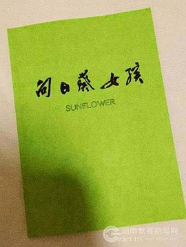 调音师电影百度云影视海报