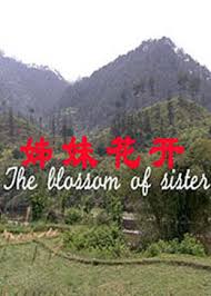 福福影视影视海报