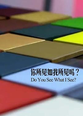 女保镖电影影视海报