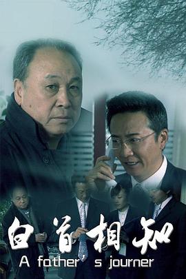 看一级录像影视海报