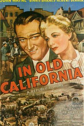 骆驼客2影视海报